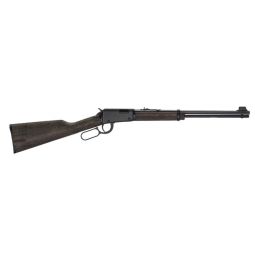 HENRY H1 GARDEN GUN 22WMR, 18.5" SMOOTH BORE BLUED WALNUT
