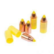 Thompson / Center Shockwave Super Glide Sabot Controlled Expansion .50 Cal Bullets, 250 Grain, 15pk