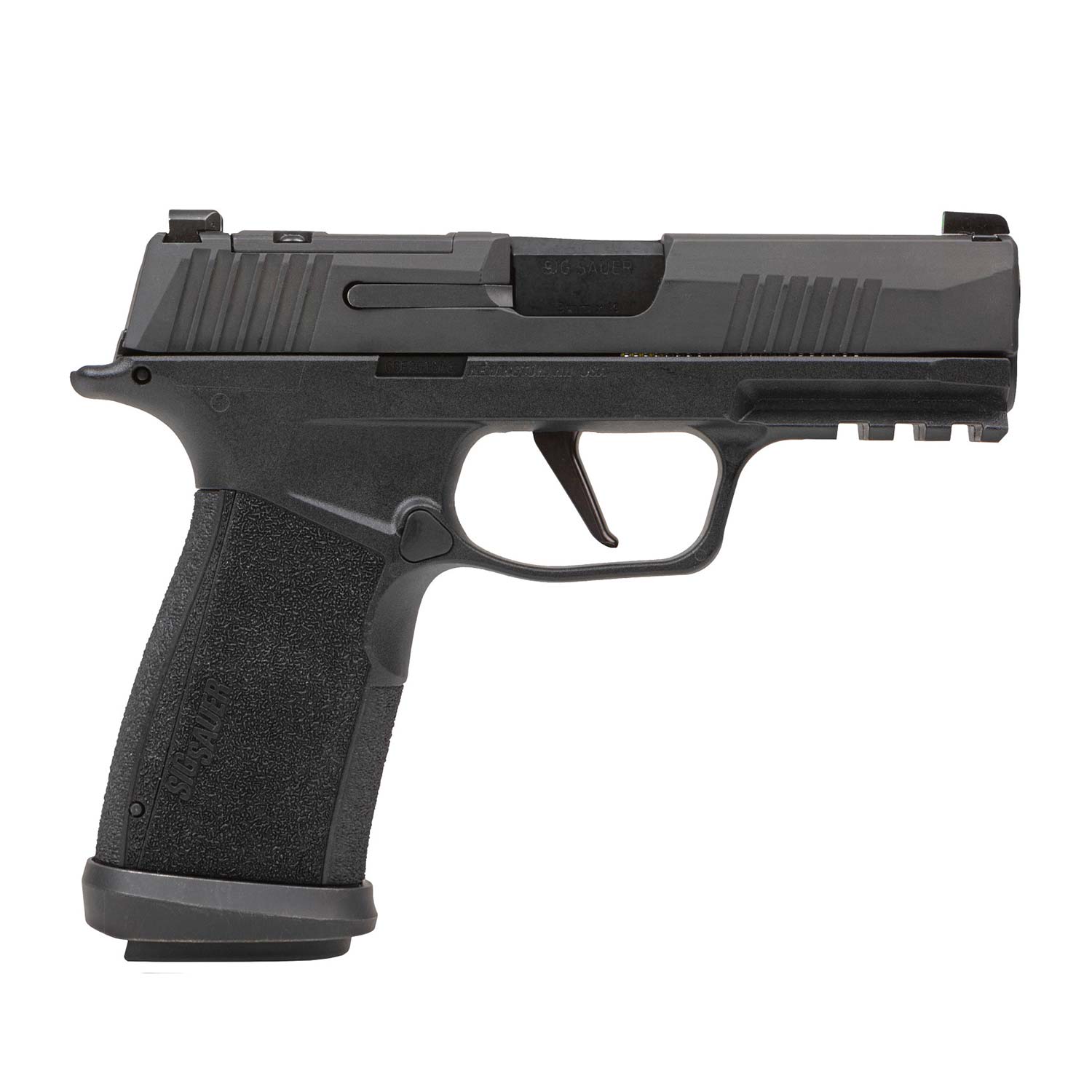 takupapa29　ビカクシダAR x AR x AR spore takupapa29様専用 ビカクシダAR x AR x AR spore - メルカリ