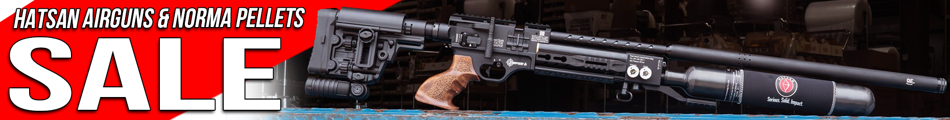 Hatsan Airgun & Norma Pellet Sale
