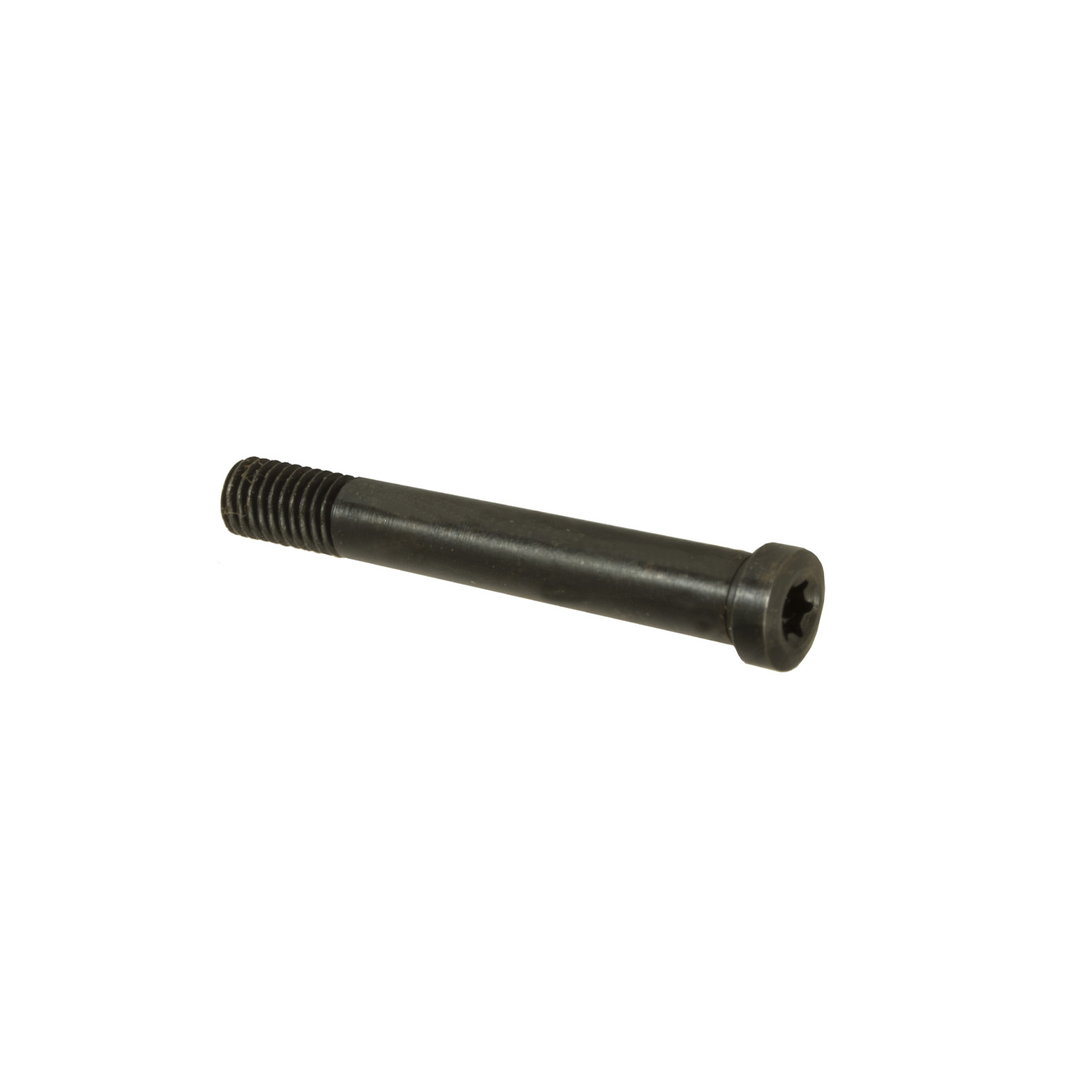 Marlin Tang Screw, Torx: MGW