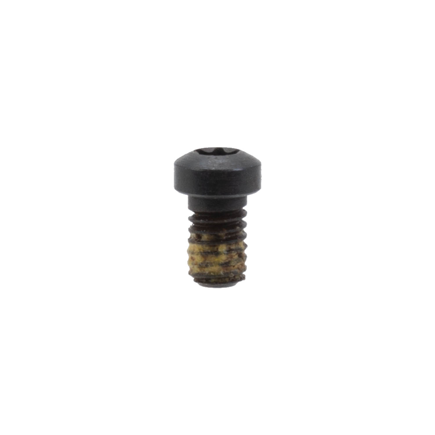 のん Marlin Forearm Tip Tenon Screw, Torx: MGW