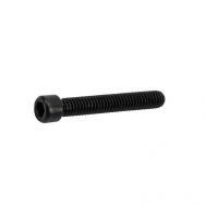 Ruger 10/22 Barrel Retainer Screw