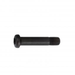 Browning X-Bolt Barrel Mounting Screw, Long Action, Medallion
