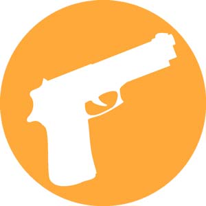 Step 1 - Select a New Firearm