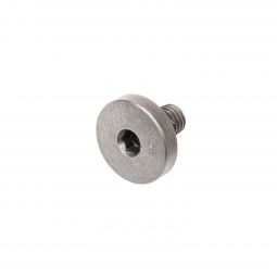 Beretta Model 92/96/84/85/86/87 Grip Screw, Silver