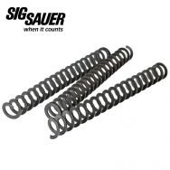 Sig Sauer 1911 Ultra Compact  .45 ACP Recoil Spring Set