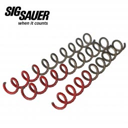 thumbnail interactive-video image 1 of Sprinco #15154 Recoil Management System For SIG Sauer P220 .45acp – Brand New 1 of 4