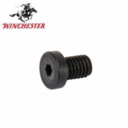 Winchester 1200 / 1300 Rear Sight Receiver Rail Screw (4)