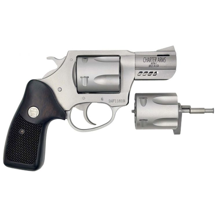 CHARTER ARMS DOUBLE DOG 2.2
